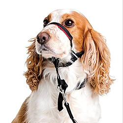 Avis The Company of Animals Halti Optifit L