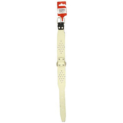 Collier pour chien