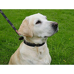 Avis Eurovideo Vg Rosewood Collier de Luxe Tweed pour Chien 41-51 cm