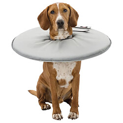 Trixie Collier Protection