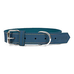 Collier pour Chien Gloria Oasis Bleu