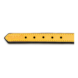 Avis Collier pour Chien Gloria - Rembourré - Jaune