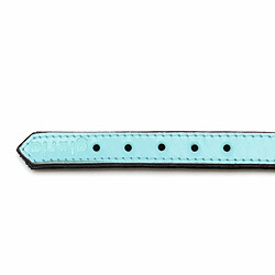 Avis Gloria Collier pour Chien - 30 cm - Bleu