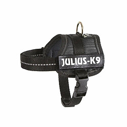 Collier pour chien