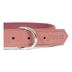 Collier pour Chien Gloria Oasis Rose pas cher