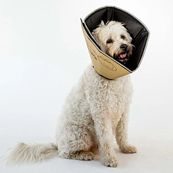 All Four Paws Comfy Cone XXL