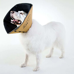 Avis All Four Paws Comfy Cone XXL