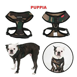 Collier pour chien