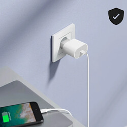 Apple Chargeur Secteur USB-C 20W pas cher