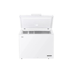 Avis Haier HCE301E