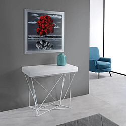 Inside 75 console extensible Excel - Blanc