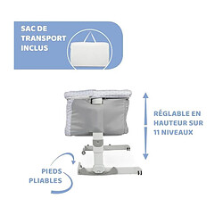 Acheter Chicco Berceau Next2Me Dream - Argent