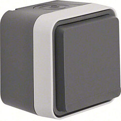 Prise 2P+T avec clapet IP55 - Gris