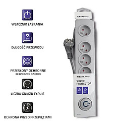 Acheter Multiprise parasurtenseur 5 prises - Gris