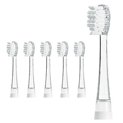 Ailoria Bubble Brush - Lot de 6