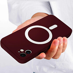 Avizar Coque MagSafe pour iPhone 11 Soft Touch Mate Bords Surélevés Antichoc bordeaux pas cher