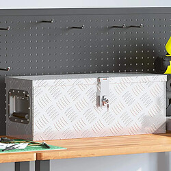 VidaXL Boîte de rangement Aluminium
