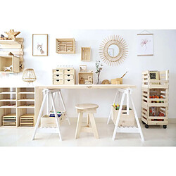 Astigarraga Evolution