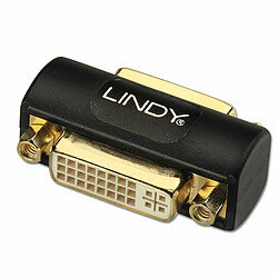 Lindy Adaptateur DVI 41233