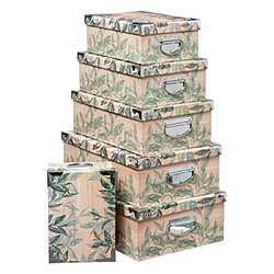 Lot de Boîtes Green Harmony Multicolore 48cm