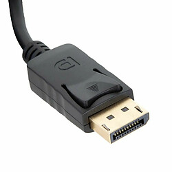 Avis IGGUAL Adaptateur DisplayPort vers HDMI 2 m