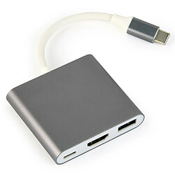 GEMBIRD USB C VGA Adaptateur
