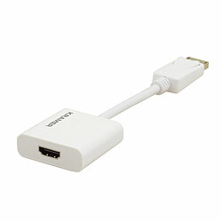 Kramer Electronics Kramer Adaptateur HDMI vers DisplayPort - Blanc