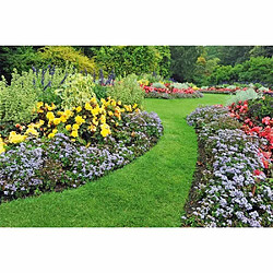 Bordure de jardin droite Cellfast - Marron