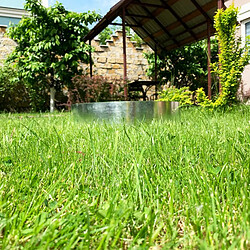 Acheter Green-split - Ruban Bordure Alu/Zinc 10m