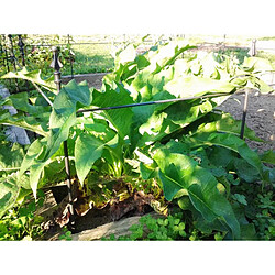 L'Héritier du Temps Système de piquets et barres