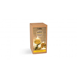 Graine Créative Graines Créatives Kit DIY Diffuseur Citronnelle