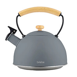 Briebe Nordic