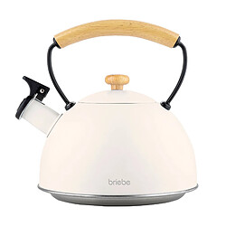 Briebe Nordic