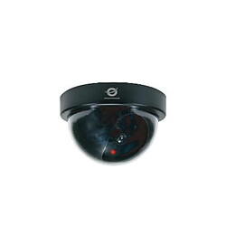 Conceptronic Caméra Dôme Dummy