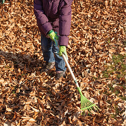 Avis Kids In The Garden Outil de jardin pour enfant - Râteau à feuilles