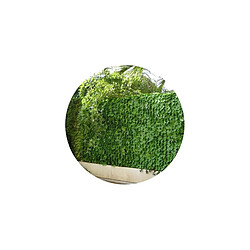 Gamme haie feuilles de lierre JET7GARDEN