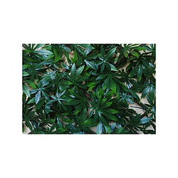 Avis Jet7garden Brise vue 1 x 2 m