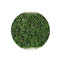 Jet7garden Brise-vue 2 x 2 m