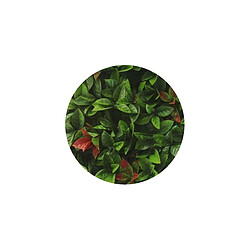 Jet7Garden Plaques clipsables Red Robin 3m²