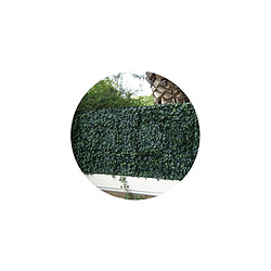 JET7GARDEN Lierre plaques clipsables