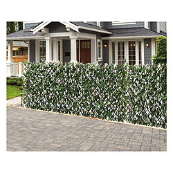 Habitat Et Jardin Clôture en treillis de saule Fragon - 200 x 100 cm - Vert