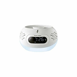 Just Green Kumo + Serene Night