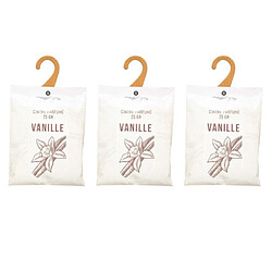 Lot de 3 Cintres Parfumés - Vanille