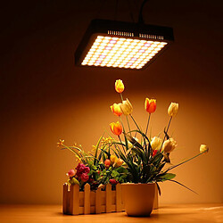 Justgreenbox Lampe à Plantes à Spectre Complet