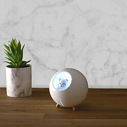 The Home Deco Factory Paris Prix Led Chat