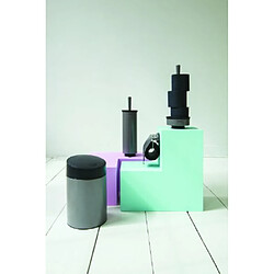 Avis Brabantia Porte-rouleau papier toilette - Platinum