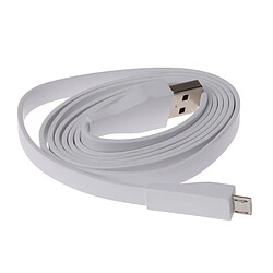 LOGITECH Câble Micro USB Logitech UE BOOM 1,2 m