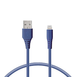 KsIX USB Câble - Bleu 1m