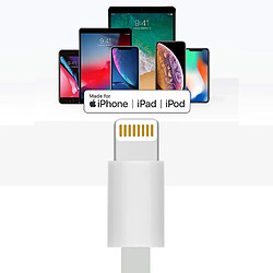 Avizar Adaptateur Lightning vers 30 broches pas cher