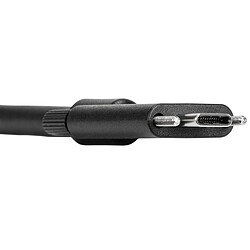 Targus ACC1122GLX 1.8 m pas cher